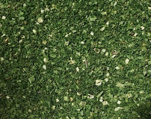 Dolmeh Sabzi Mix - KFP